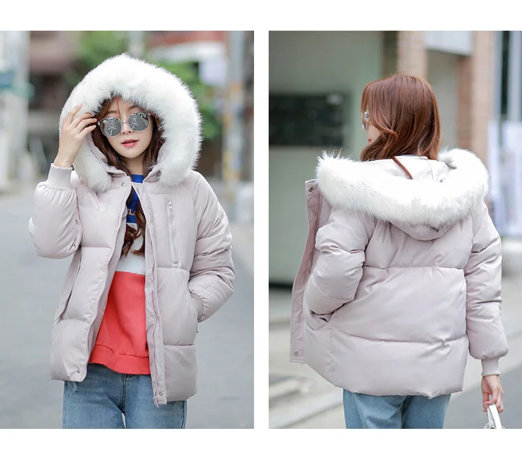 Cotton_09.jpg