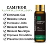 Camphor