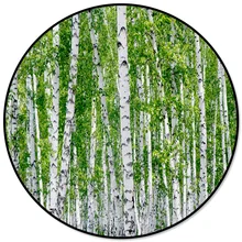 Березовые деревья, природа, открытый круглый ковер, ковры для декора гостиной, коврики для детской комнаты, коврики для спальни, современные коврики