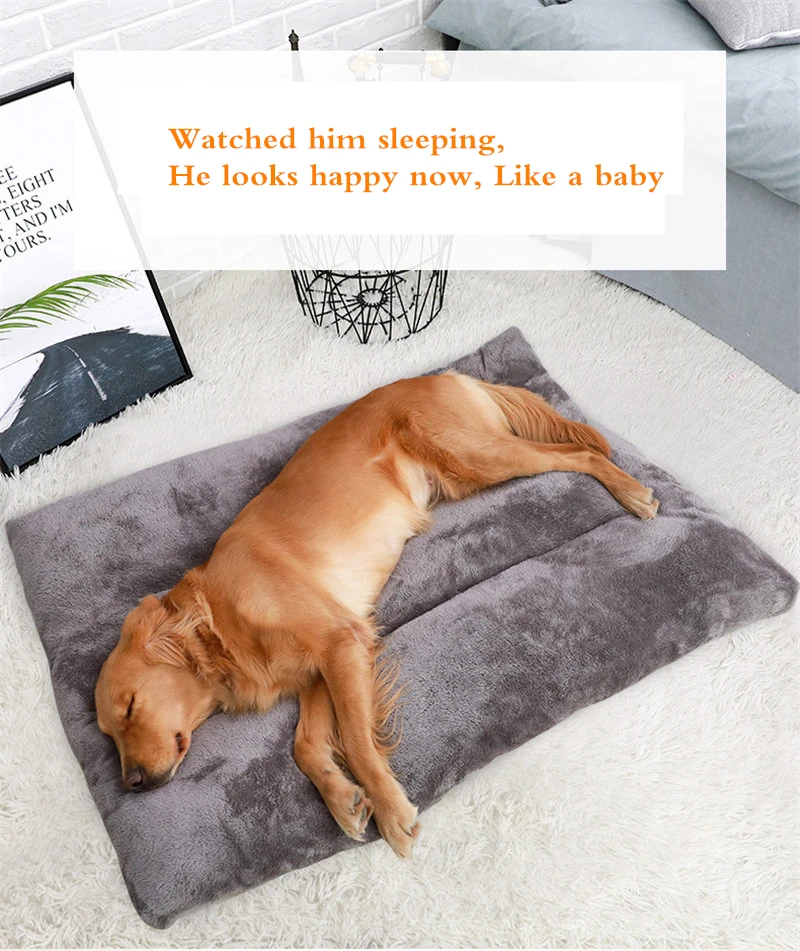 201911283626404504856841