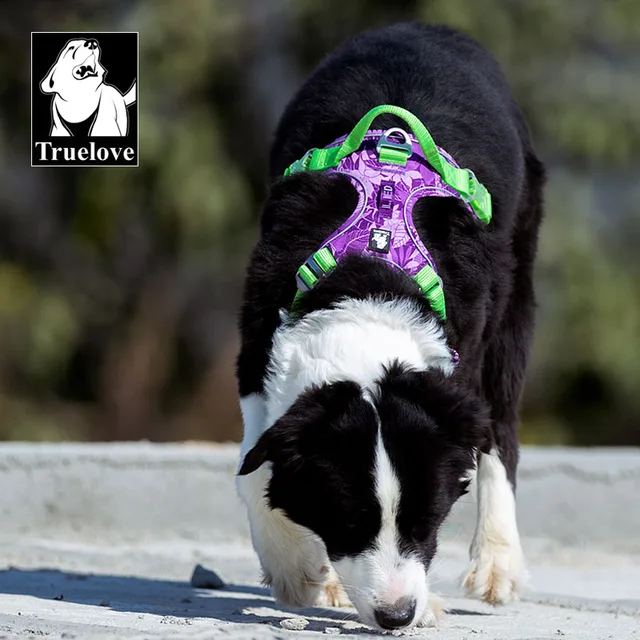 Easy Dog Harness Truelove Dog Harness No Pull Nylon Reflective