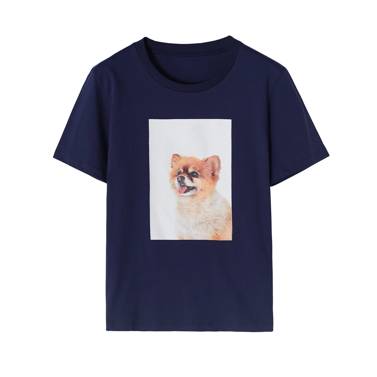 Women T-shirt 2022 Spring New Women's Puppy Print Short Sleeve Cotton T-Shirt