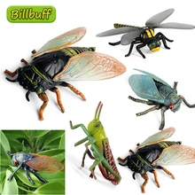 蝉おもちゃ Aliexpress Version で 蝉おもちゃを送料無料でお買い物