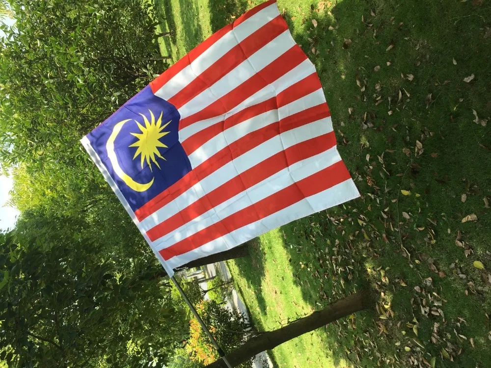 QQ图片20190712135353