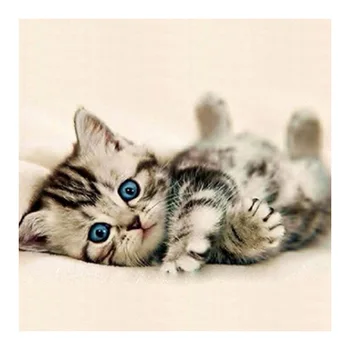 

Full Round Drill Cat 5D DIY Diamond Painting Animals Art Diamond Rhinestone Needlework Cross stitch Home Decoration Handmade