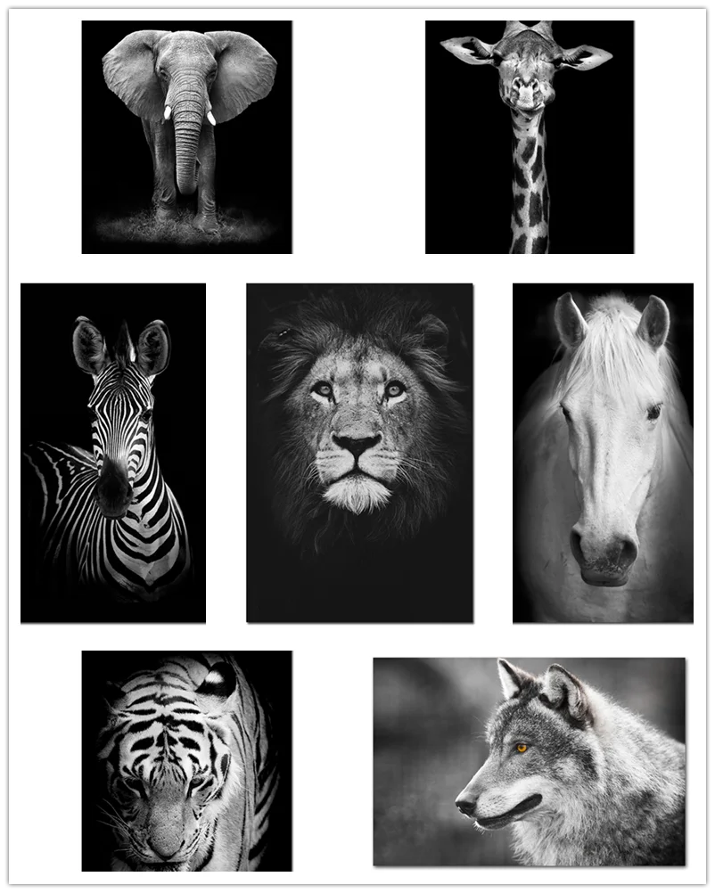 Animal Diamond Painting Giraffe Zebra Lion Elephant Horse 5D Embroidery Photo Mosaic Black and White Decoration | Дом и сад