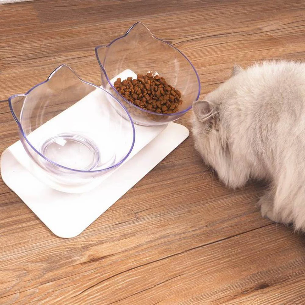 Cat Double Bowl Pet Food Elevated Bowls Transparent Cat Dog Water