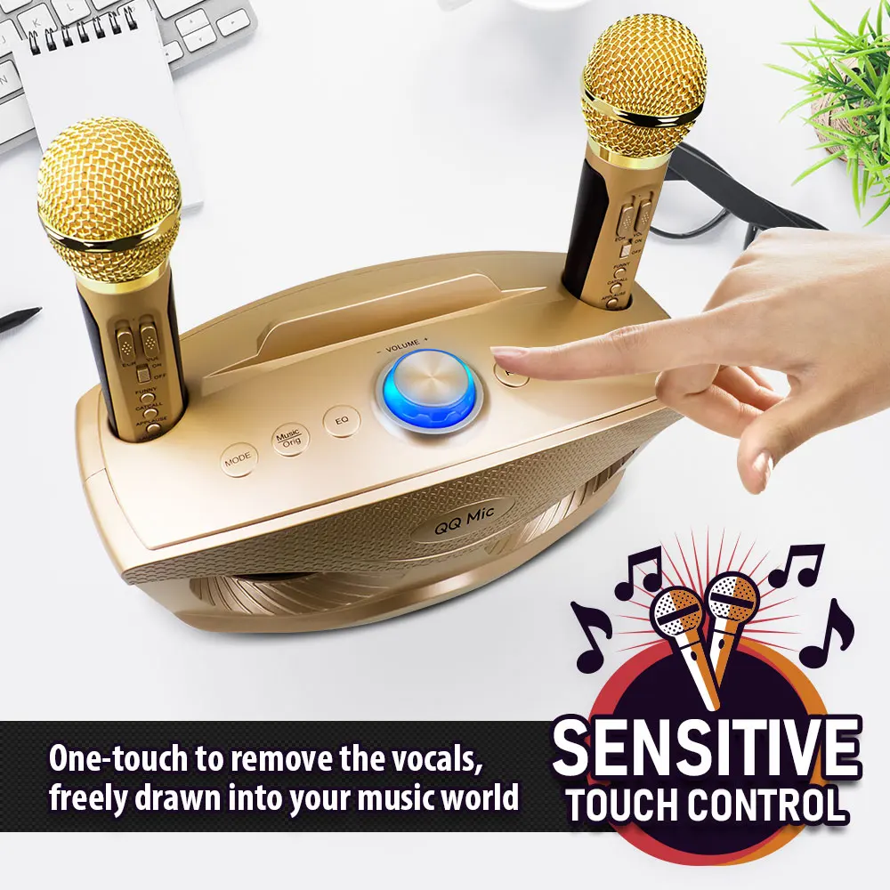 20W Karaoke Machine Portable PA Speaker System For Kids Adults With Lights Microphone Bluetooth V5.