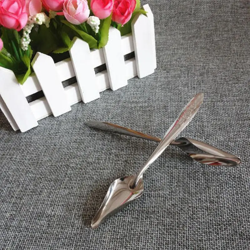 5 Pcs Baby Bird Pointed Feeding Spoon Stainless Steel Milk Medicine Parrot Feeder for All Baby Bird Peony Cockatiel