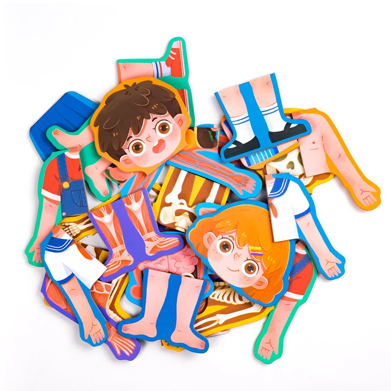 Human Body Structure Bone Cognitive Puzzle Wooden Toys For Boys Girls Children Safety Educational Toys 6