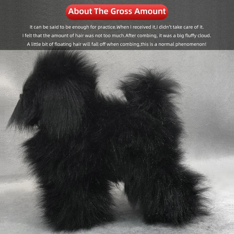 Professional pet grooming fake dog model practice dog standard skeleton model dog pet simulator model 3
