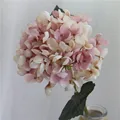 Autumn Pink C