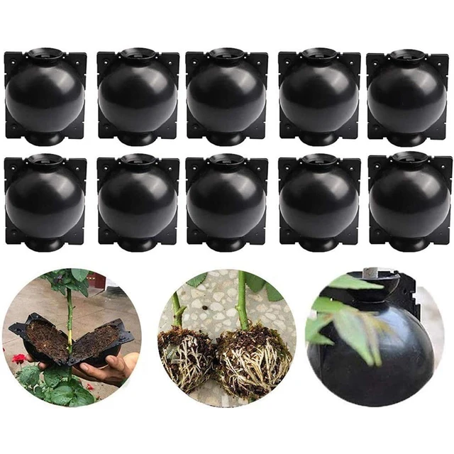 Újrafelhasználható Kerti Gyökérgyökér Növekvő Dobozos Légrétegű Növények Gyökérzet Nagynyomású Szaporodás - Image 4