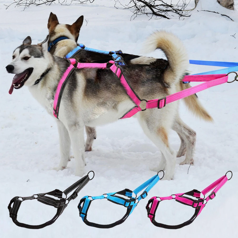 Sled Dog Pulling Harness
