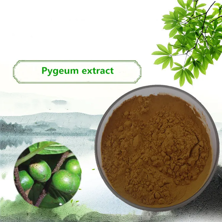 

Pygeum extract eliminates inflammation, protection, anti-inflammatory and anti-edema activity. African Pygeum extract 2.5%