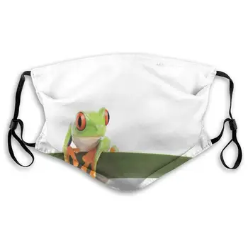 

Mouth Mask,Sanitary Mask,Protection From Dust, Ash,Pollen Face Masks Red Eyed Tree Frog Perches On A Long Slim Leaf Tropic