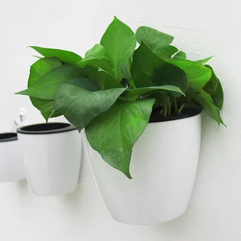 

S/M/L Lazy Flower Pot Automatic Water Absorption Wall Hanging Basin Nursery Pots for Succulent plants Flower Pot #LR2