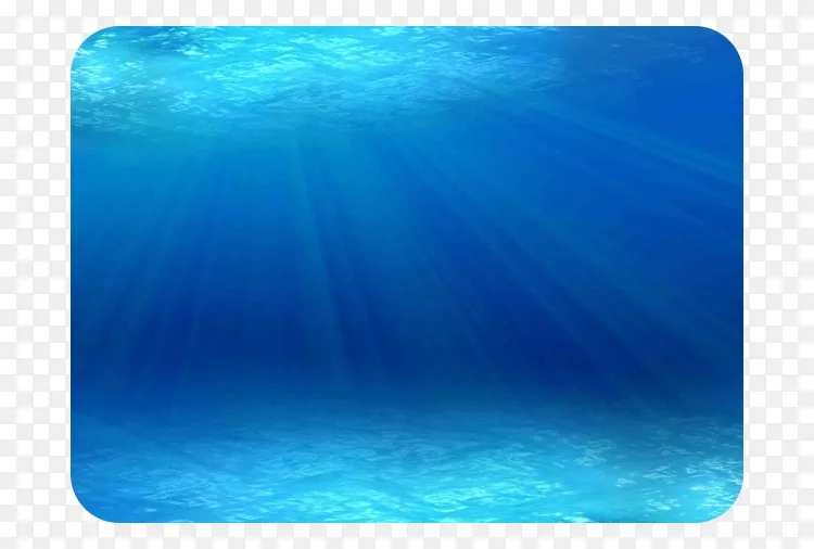 海洋海洋生物水下动物海底背景下png图片素材免费下载 图片编号 Png素材网