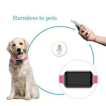 

Free IPMI AODIHENG Branded Anti-Lost PetTracker Premium Pet Collar Mini GPS Tracking Locator with Real-Time Remote Monitoring