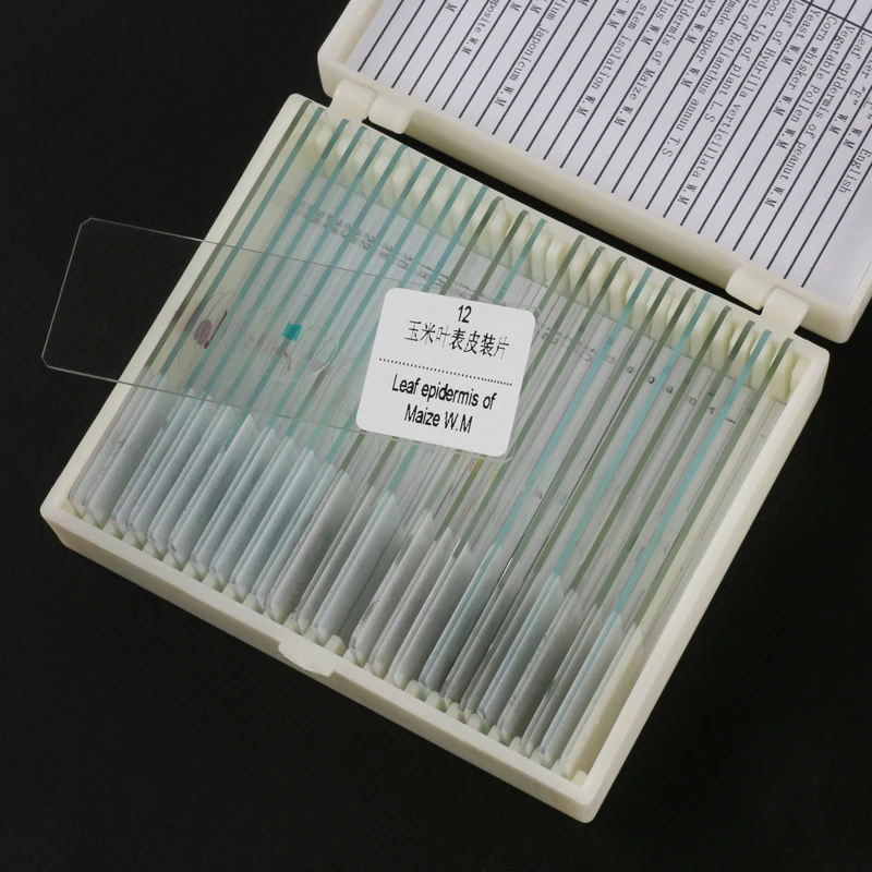 25pcs/set Different Kinds Prepared Biological Microscope Glass Slides