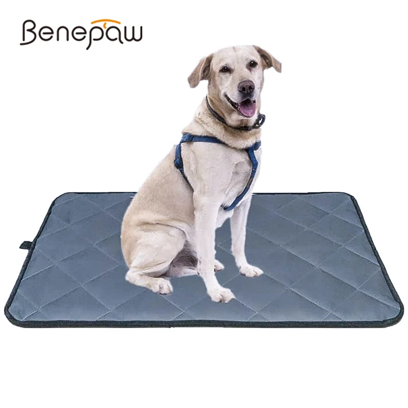 Pet-Bed Crate-Pad Dog-Mat Dogs Bite-Resistant Large Waterproof Washable Small Benepaw