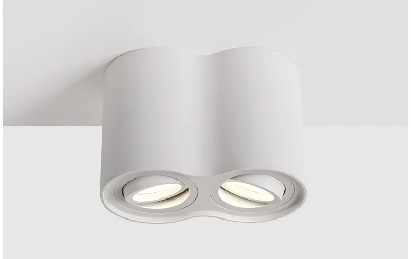 莱维奇明装筒灯LED天花灯斗胆灯格栅灯多头吸顶背景墙换光源射灯-tmall_12