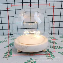 

2022NEW Eternal flower glass cover LED fire meteor lamp Valentine's Day gift landscape glass cover dust cover