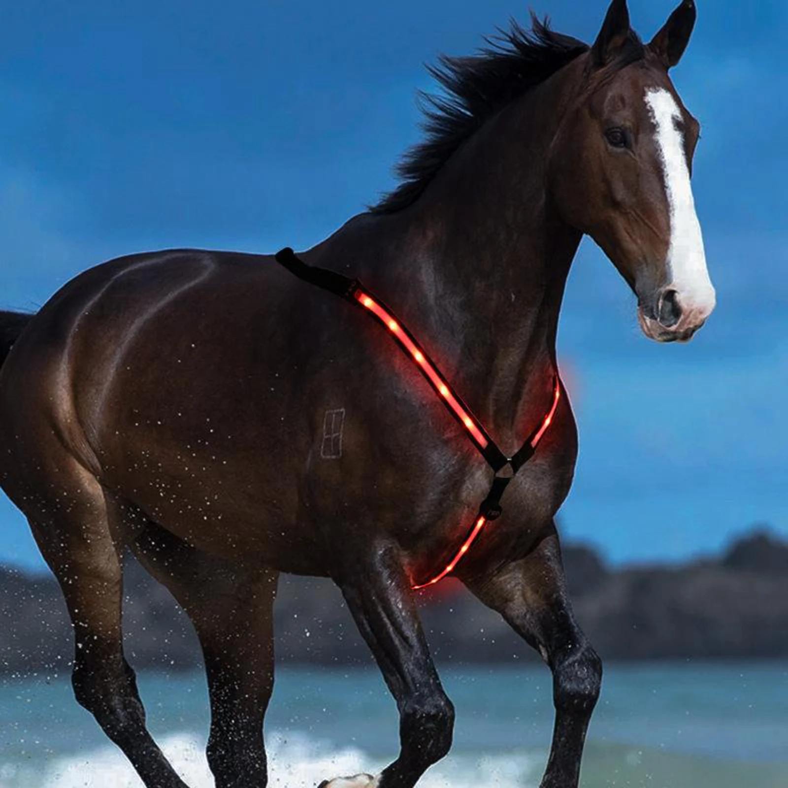 LED Horse Breastplate Collar Safety Reflective Equestrian Breast Collar Straps Horse LED Chest Breastplate Collar 5