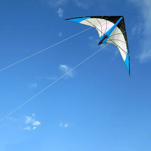 NEW Arrive 48 Inch Blue Professional Dual Line Stunt Kite With Handle And Line Good Flying Factory Outlet 4