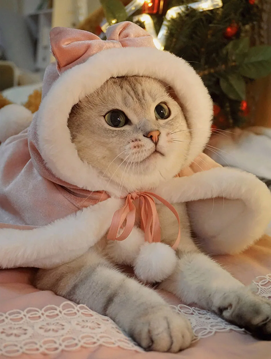 pet cosplay chapéu capa para pequenos gatos