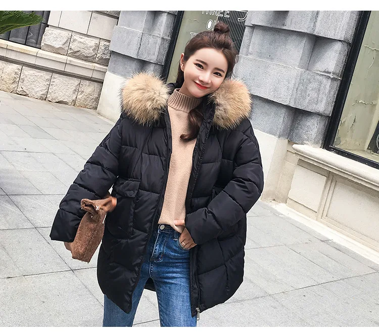 9036758581_1006637240