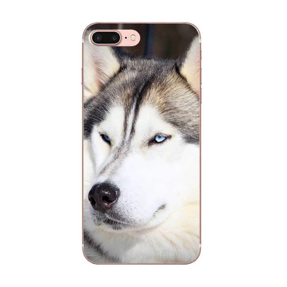 В продаже для Apple iPhone 4 4S 5 5C 5S SE SE2 6 6S 7 8 11 Plus Pro X XS Max XR Wacky Husky новый