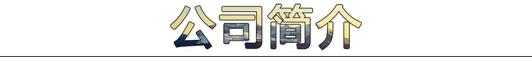公司简介