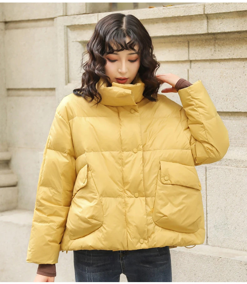 Casual Fashion Down Jacket Female Winter New White Duck Down Overcoat Loose Thick Warm Stand Collar Coat Female ZZZ191