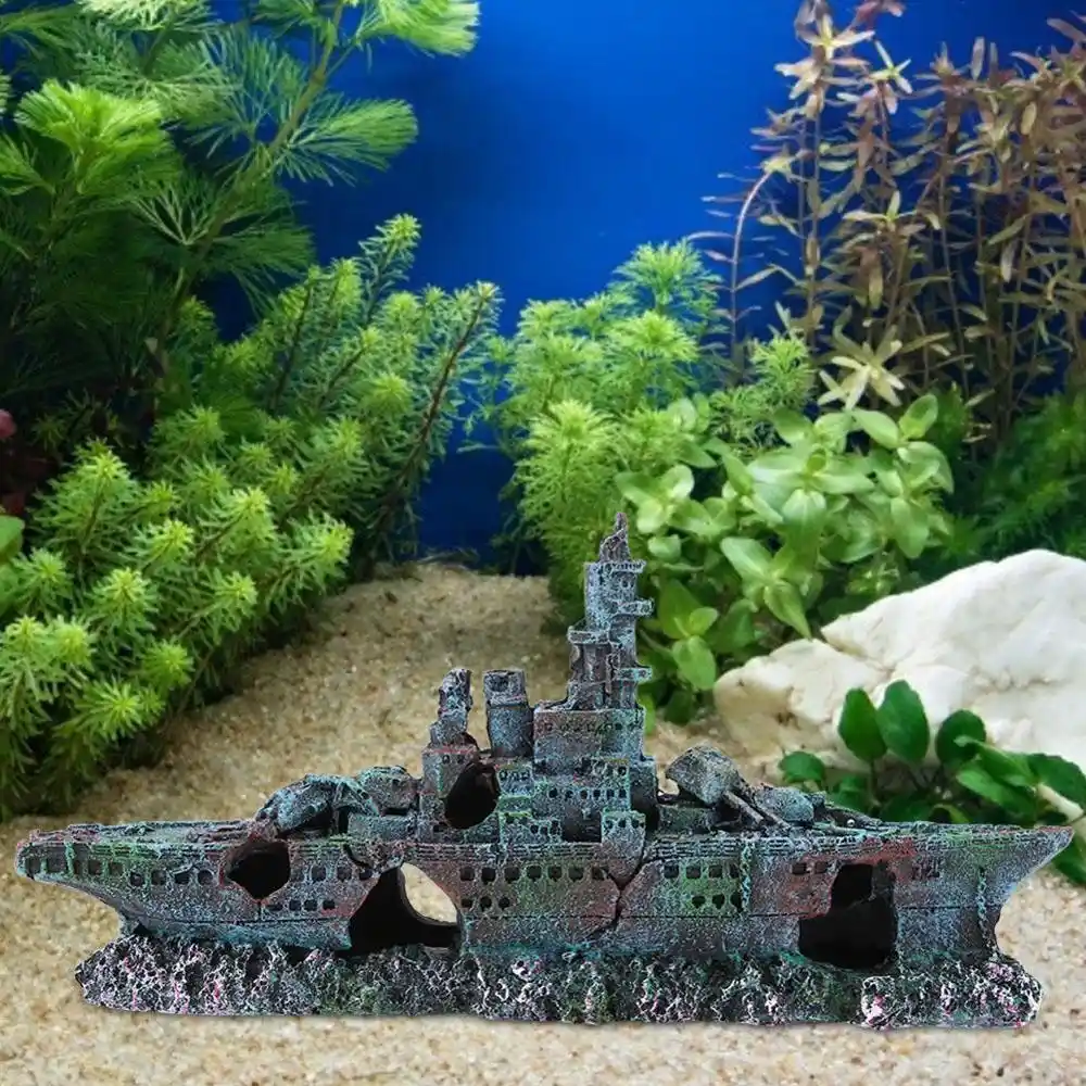 garden aquarium