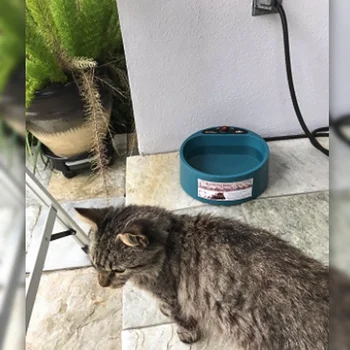 

Intelligent Pet Dog Water Bowl Winter Heating Water Dispenser Insulation Feeding Feeder Bowl Constant Temperature Food Container