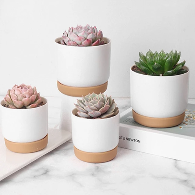 Kleine Weiße Keramik Pflanzer Mini Blume Behälter Innen mit Entwässerung  Loch für Sukkulenten oder Kaktus-Große/Kleine - AliExpress