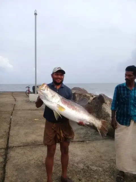 QQ图片20190820110814_副本