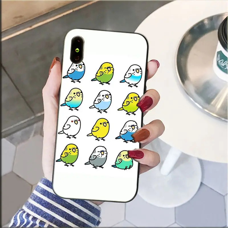 Chubby Cockatiel