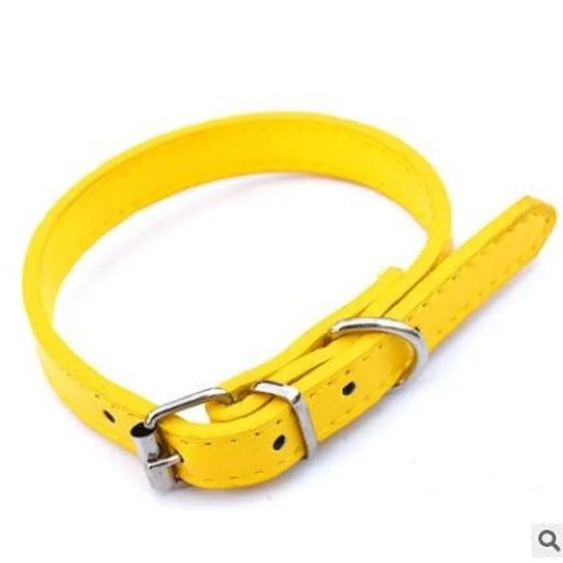 dog collar manufacturer