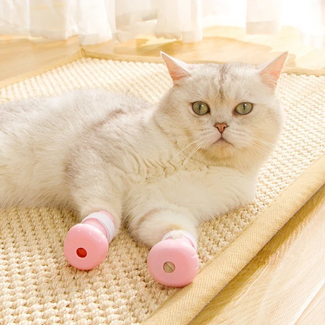 Anti-Scratching Shoes for Cats 1