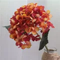 Autumn orange C