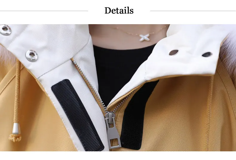 12341156094_802501495