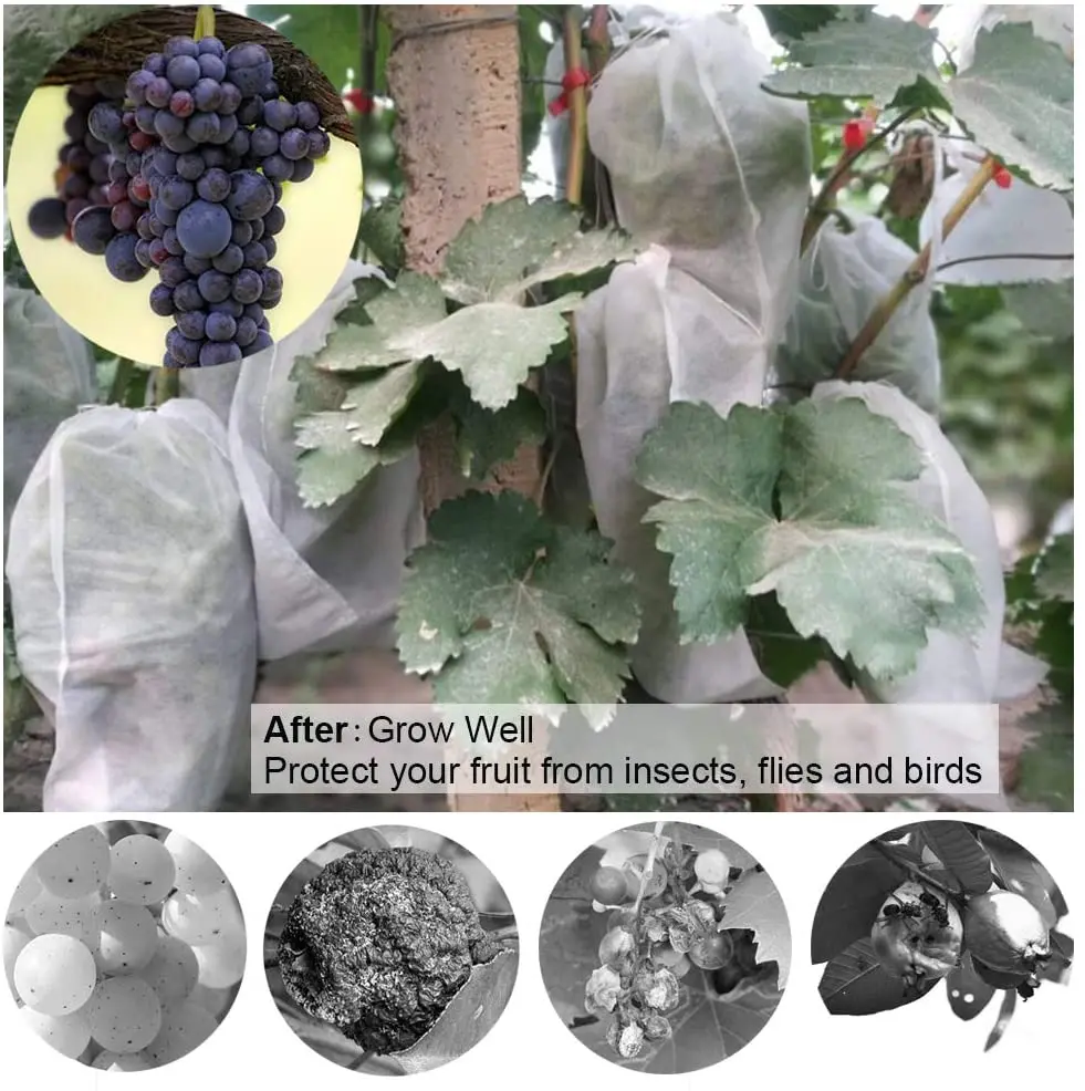 Tanio 50/100 sztuk wielokrotnego użytku winogron ochrony torby włóknina owoce sklep