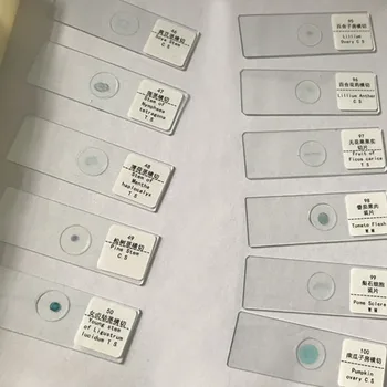 

Microscope 100 pieces Set Botany prepared slides