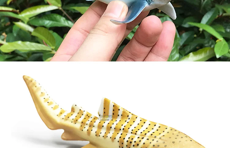 Акула Модель океанов большой маленький Zebrafish игрушка модель Акула голубая акула Megalodon мужская акула имеет акулу КИТ акула