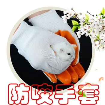 

Hamster Gold Bear Three-Line Silver Fox Bite Proof Gloves Mouse Anti-Bite Hand Hamster Protection Gloves Hamster Supplies