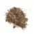 Cat Catnip Powder Mint Natural Kitten Health Care Organic Pet Flavor Accessories