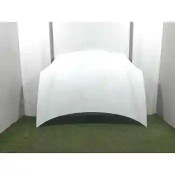 

CAPOT RENAULT KANGOO (F/KC0)