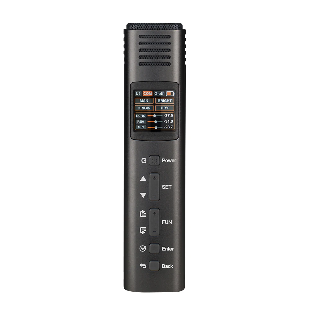 Lannge HK-600 Многофункциональный микрофон DSP однонаправленный микрофон с 1,3 дюймовым цветным ЖК-дисплеем 5 видов шаг/эквалайзер/эффект двойной